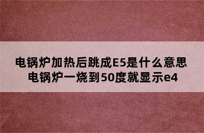 电锅炉加热后跳成E5是什么意思 电锅炉一烧到50度就显示e4